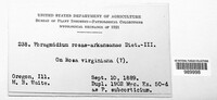 Image Associated With the Occurence